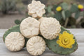 Prickly Pear Soap Bar 4oz